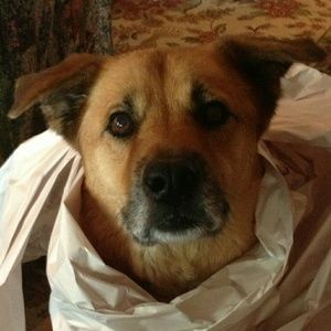 Meet your Posher, Kenny